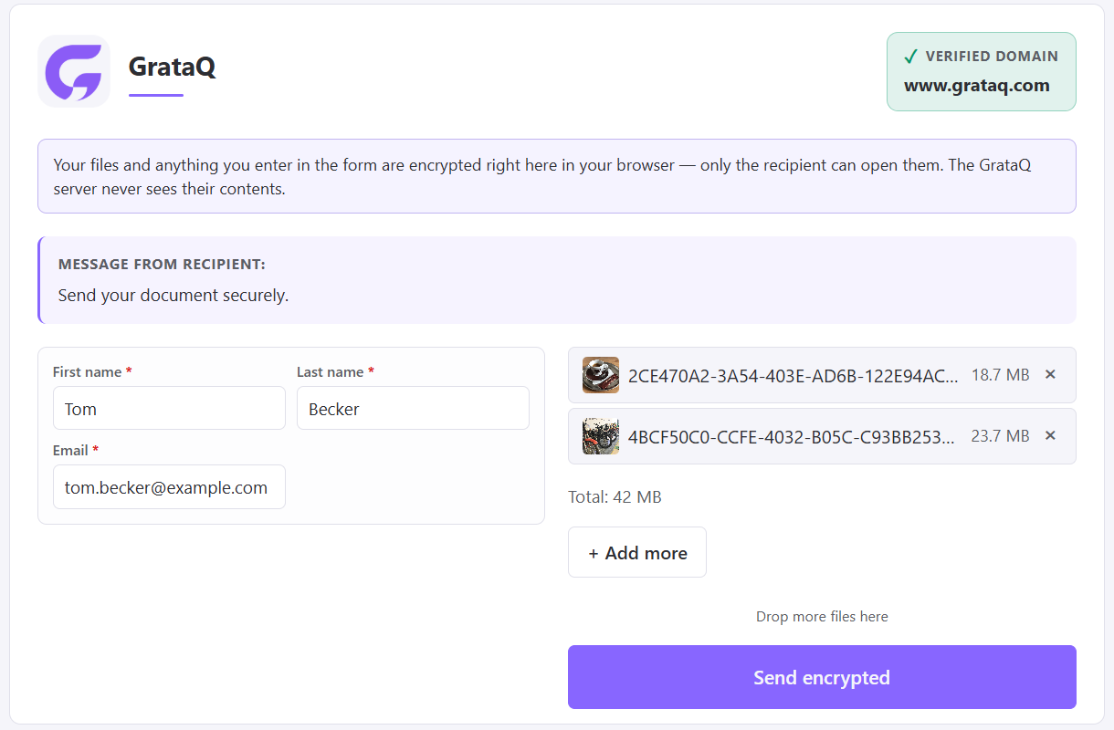 Upload page preview with a logo and a verified domain